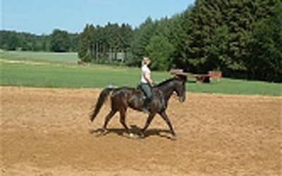 Reitmöglichkeiten in schöner Umgebung, Reiterhof Reglauer - www.reiterhof-reitstall-muenchen.de