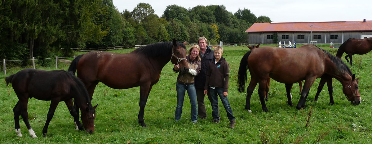 Reiterhof und Pferdezucht Reglauer im idyllisch gelegenen Wangen bei Starnberg - www.reiterhof-reitstall-muenchen.de