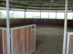 Beste Voraussetzungen für glückliche Pferde im Reiterhof Reglauer - www.reiterhof-reitstall-muenchen.de